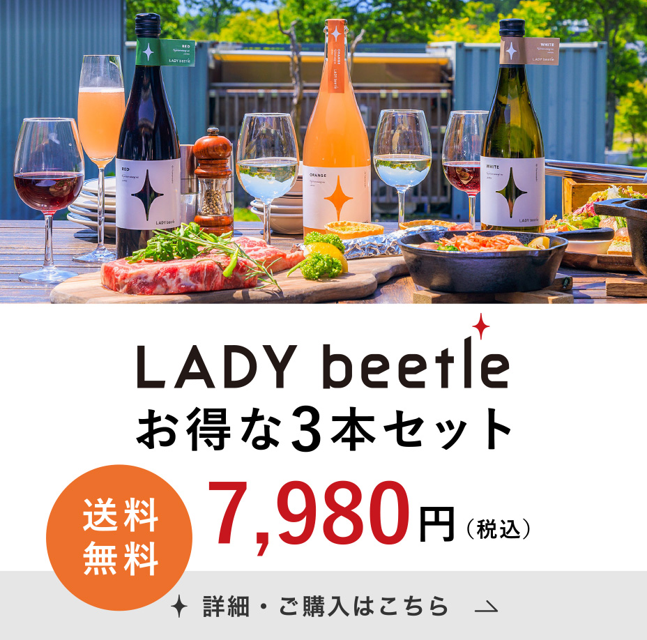 LADY beetle お得な3本セット 7,980円（税込）送料無料