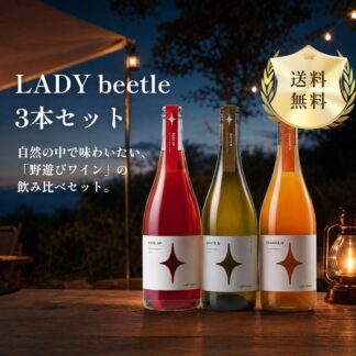 【送料無料】LADY beetle 3本セット