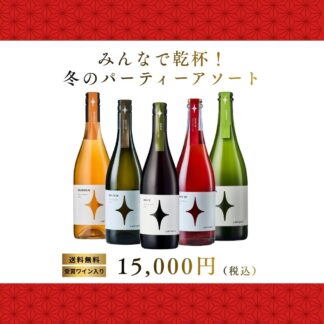 【送料無料】みんなで乾杯!冬のパーティーアソート