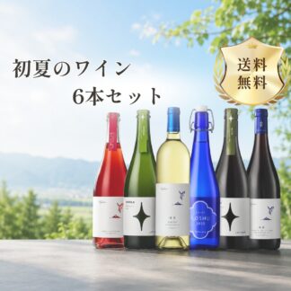 【送料無料】初夏のワイン6本セット