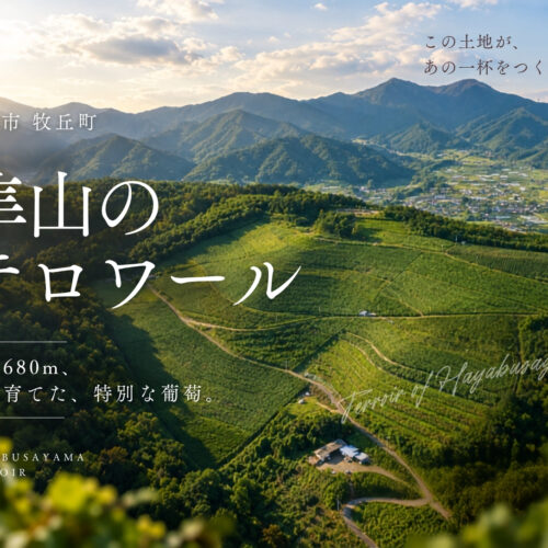 隼山のテロワール